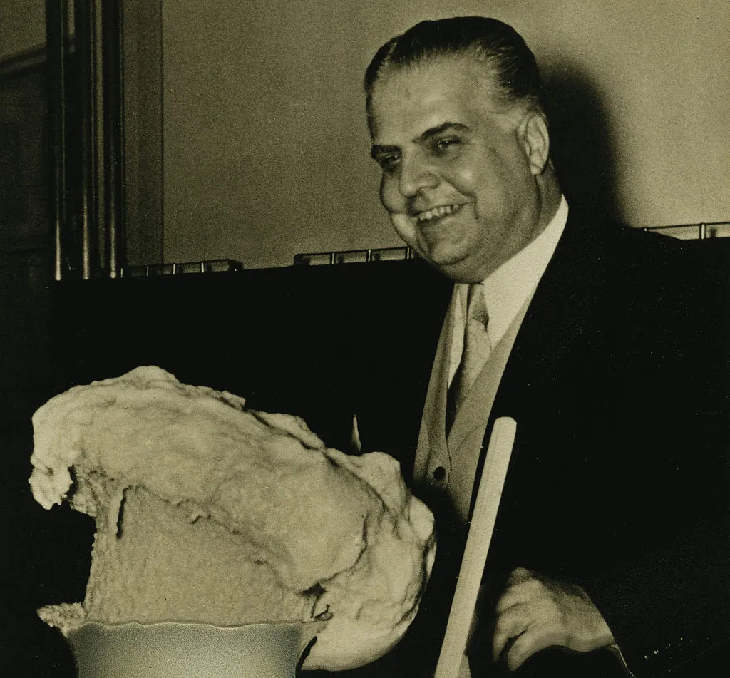 Otto Bayer